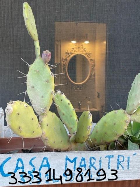 Casa Maritri Locazione Turistica Hotell Marzamemi Eksteriør bilde